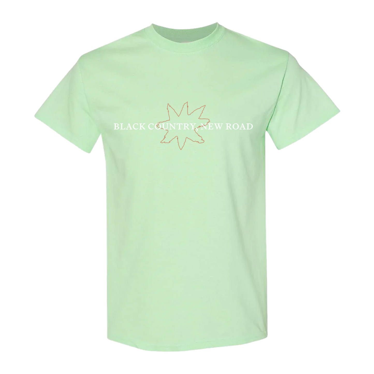 Spring Tour 2026 Mint Tee